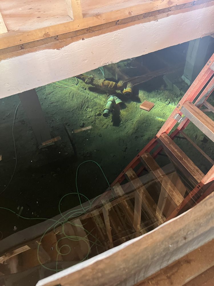 image-20230216132458-11