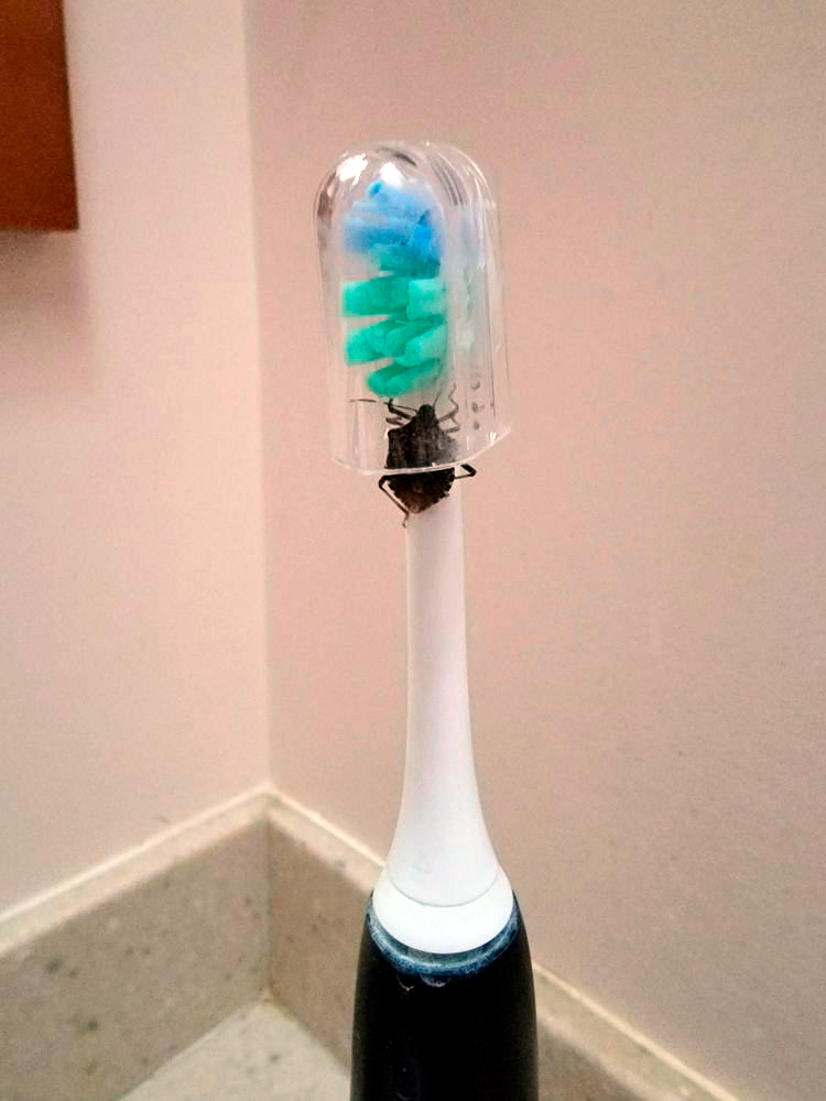 image-20230216132713-13