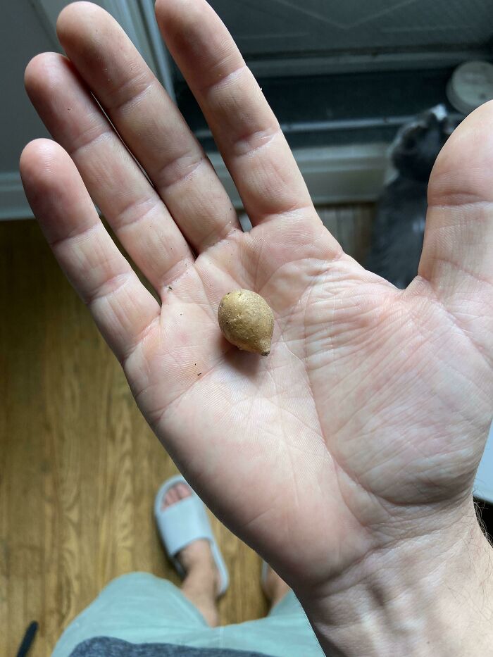 image-20230216170310-2