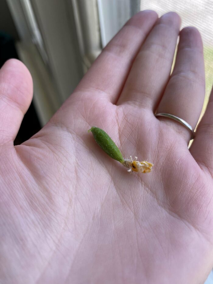 image-20230216170313-3