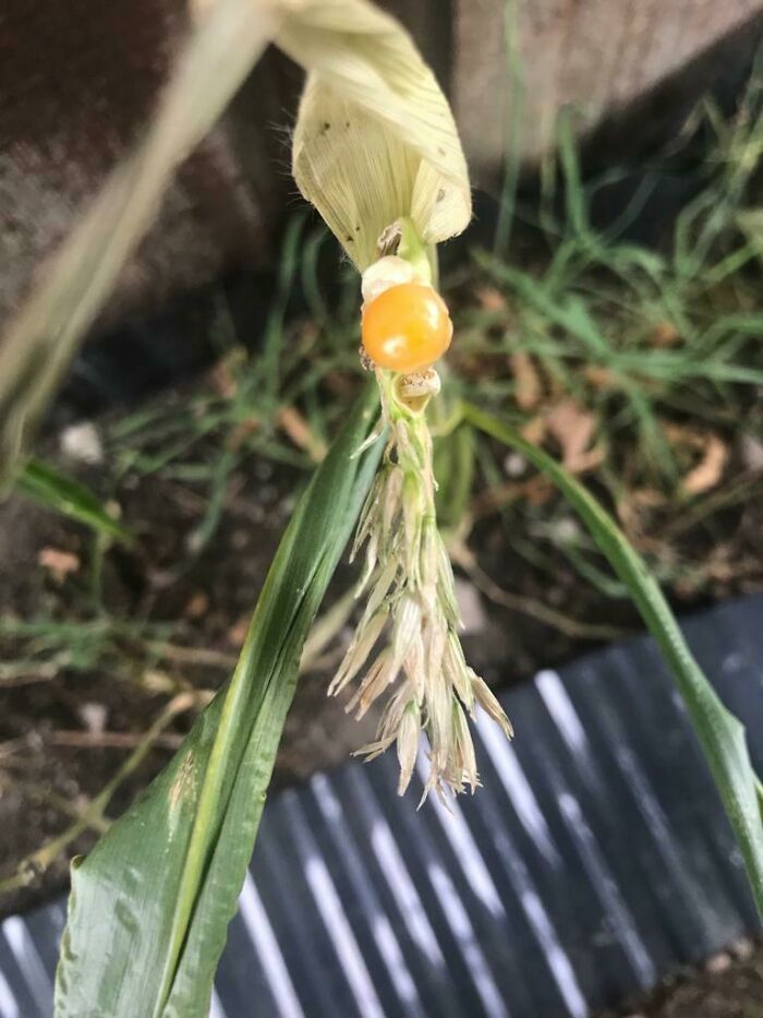 image-20230216170322-6