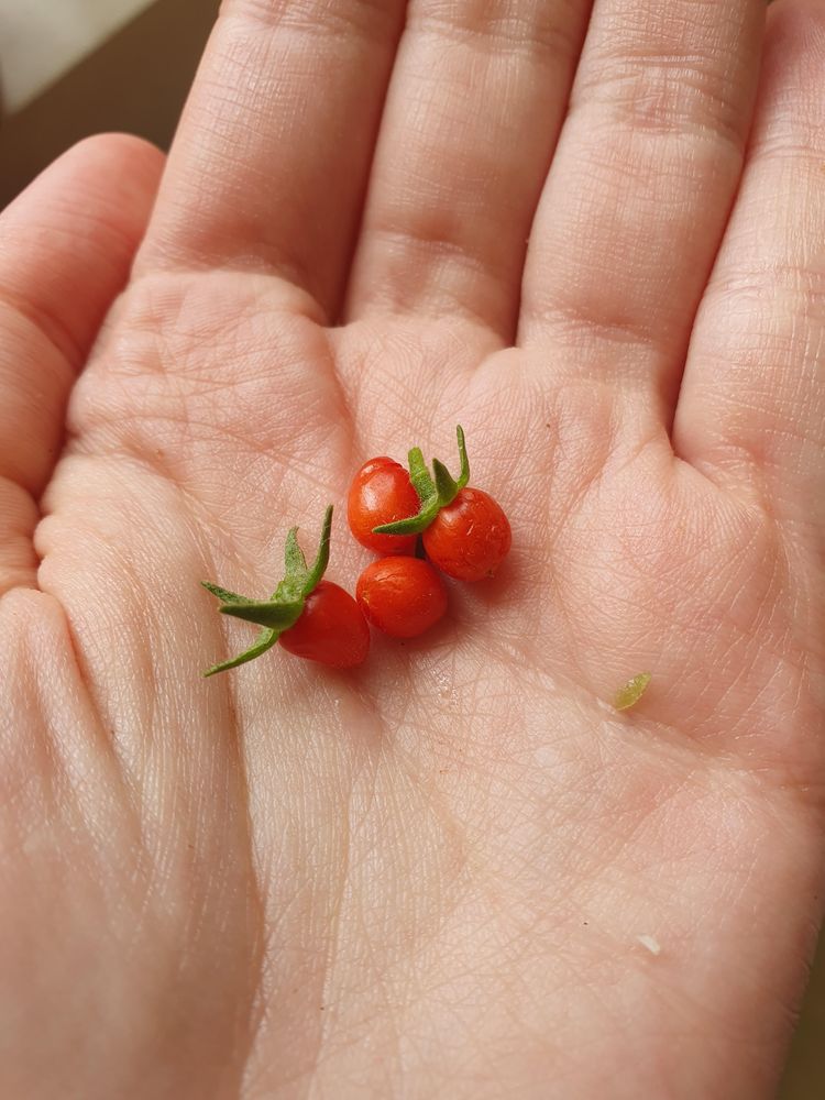 image-20230216170327-8