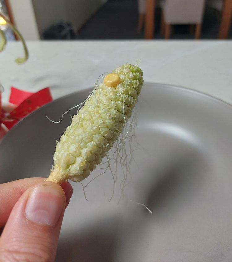 image-20230216170337-11