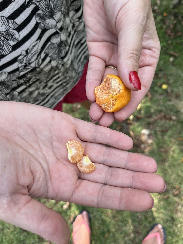 image-20230216170340-12