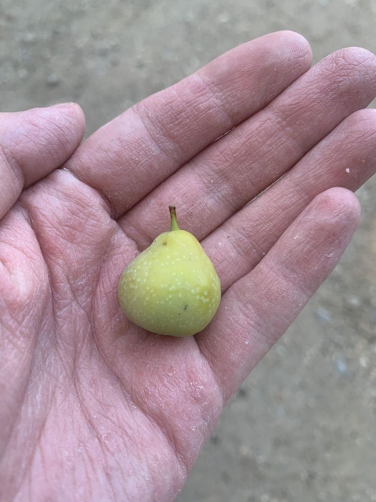 image-20230216170349-15