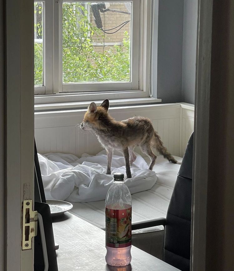 image-20230220165404-2