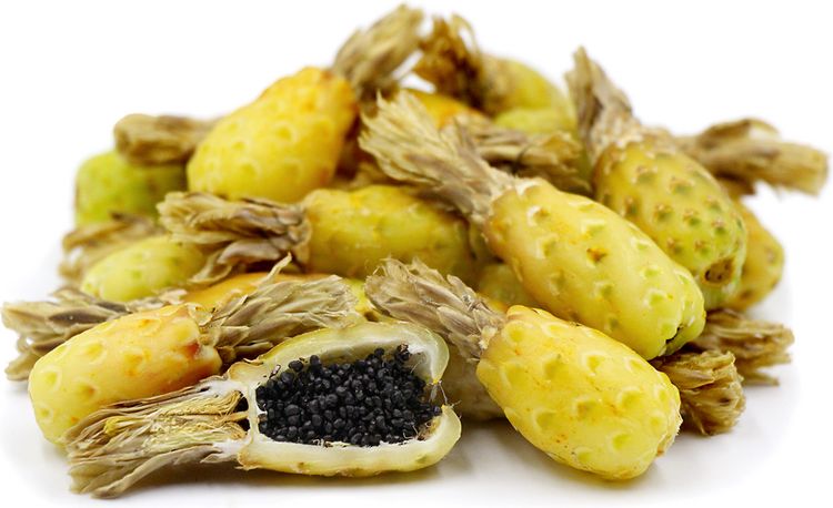 image-20230221134007-1