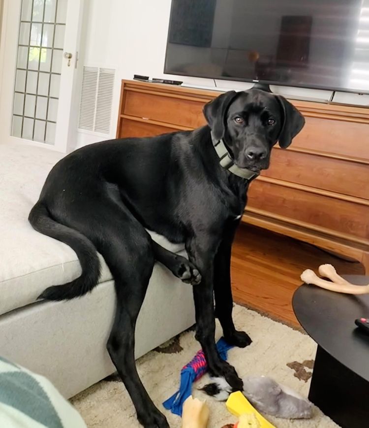 image-20230221165833-2