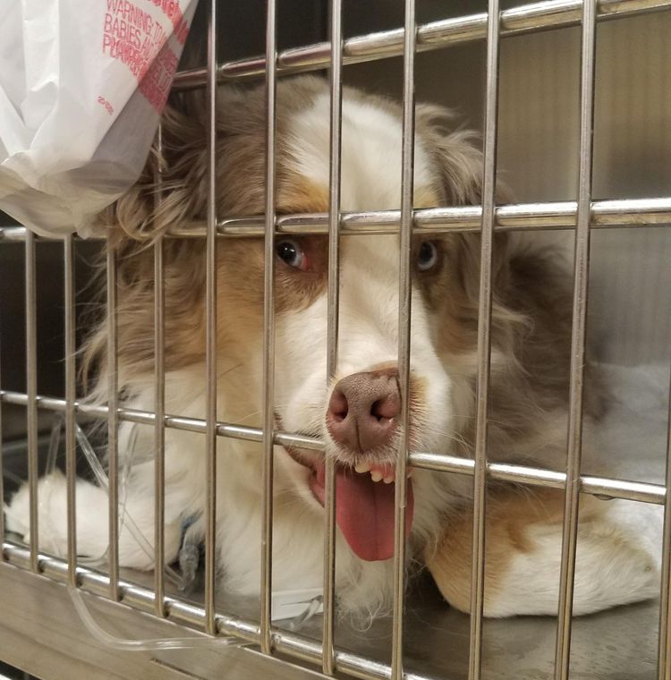 image-20230221175654-2