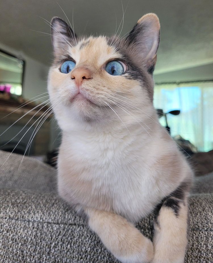 image-20230221175659-4