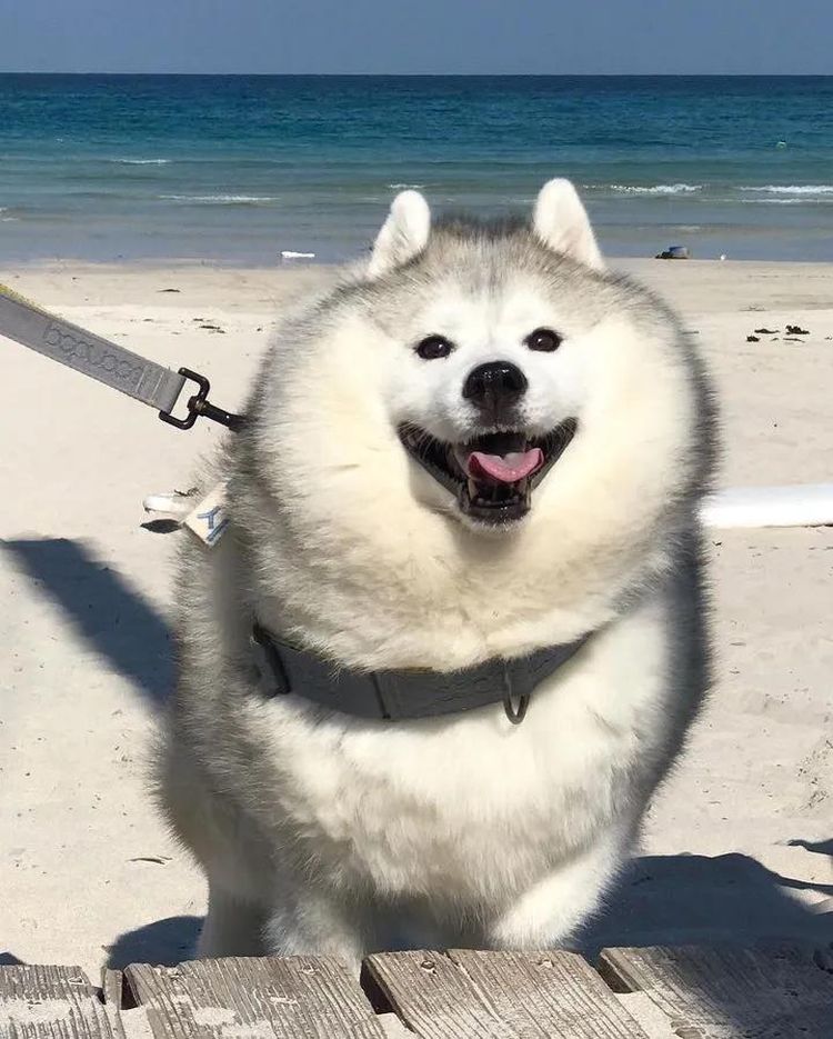 image-20230221175704-5