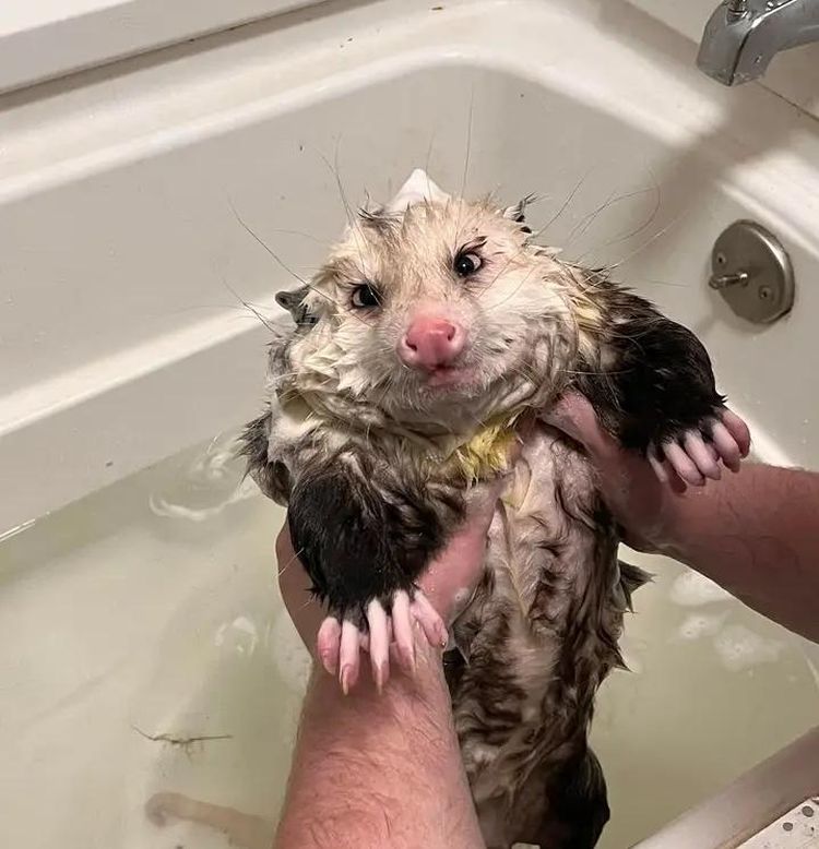 image-20230221175710-7