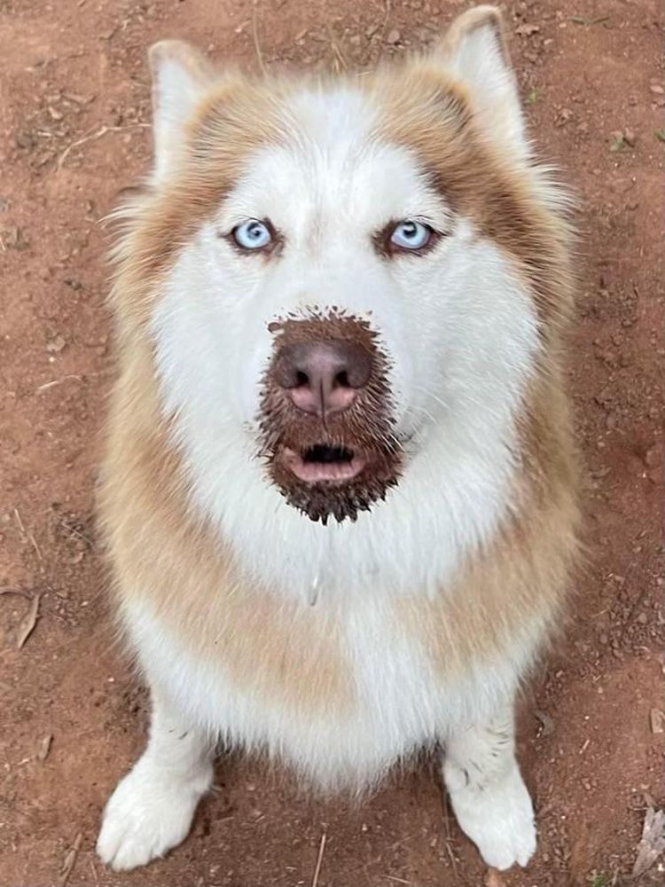 image-20230221175713-8