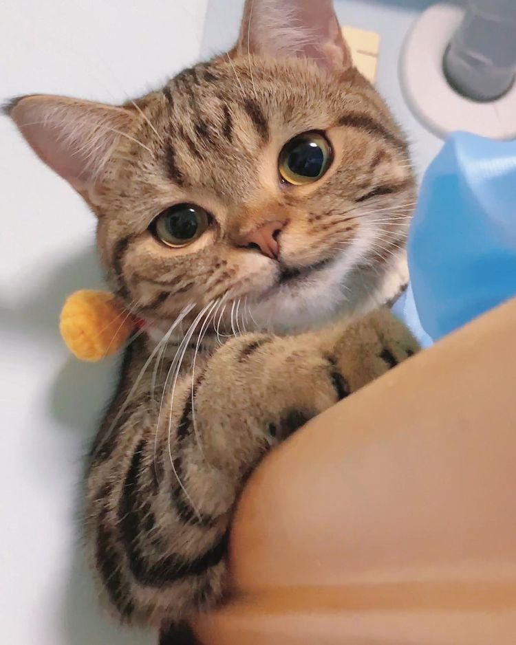 image-20230221175718-9