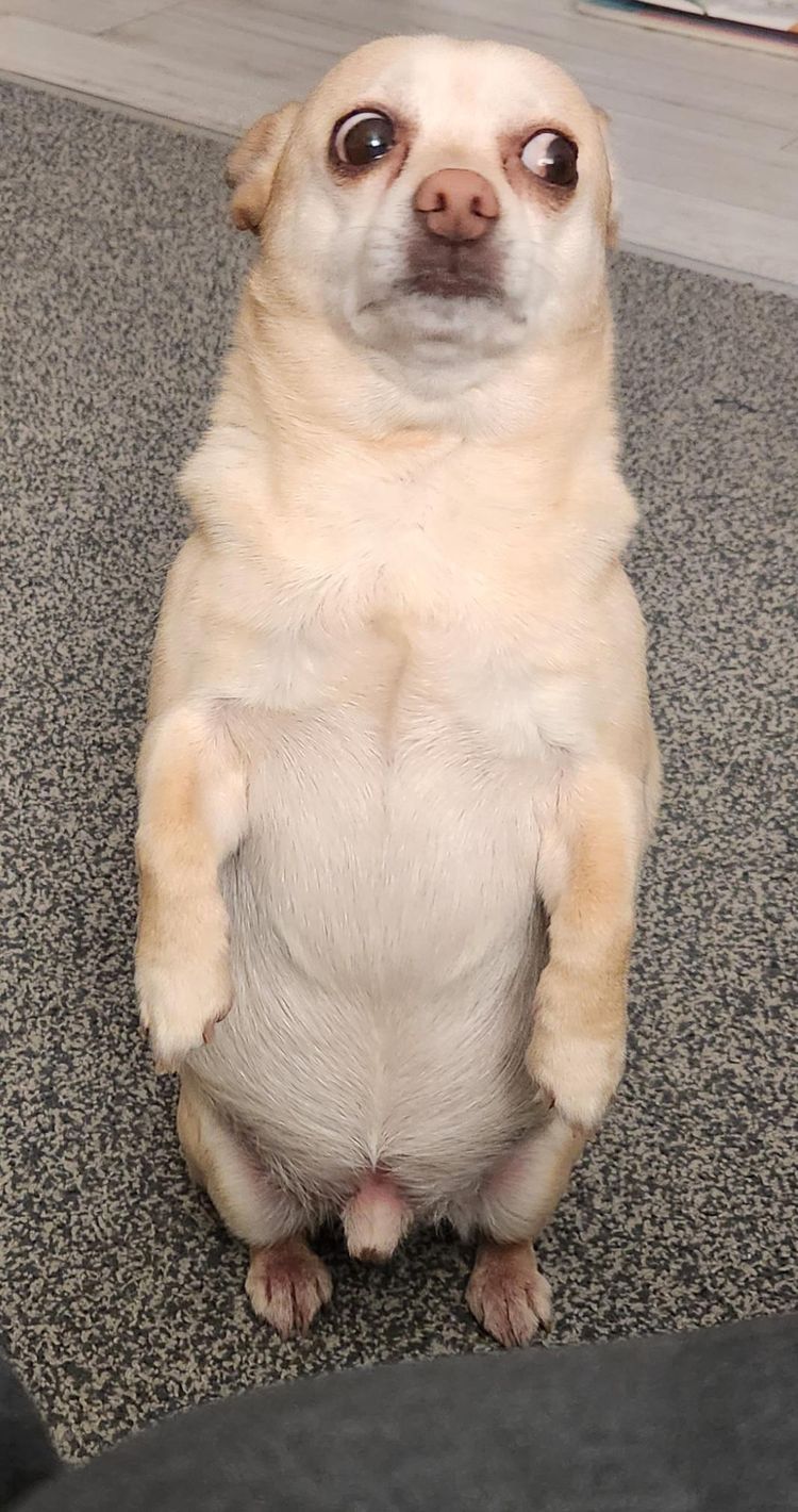 image-20230221175723-11