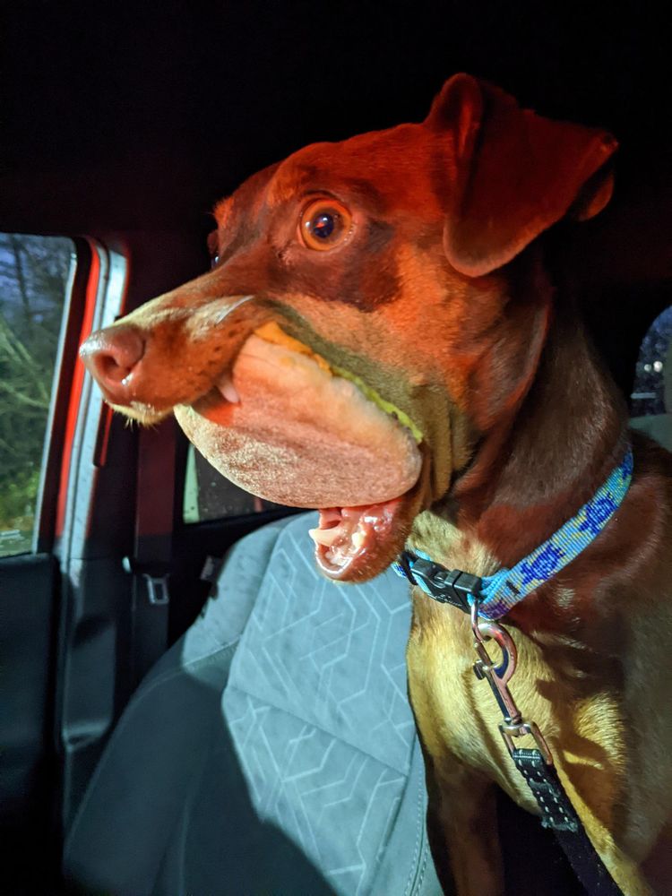 image-20230221175730-13