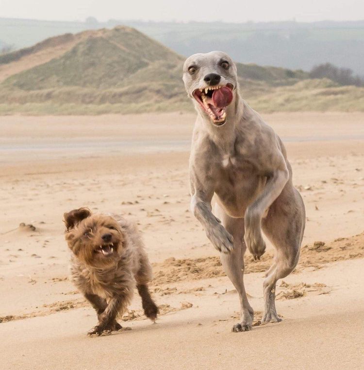 image-20230221175735-15