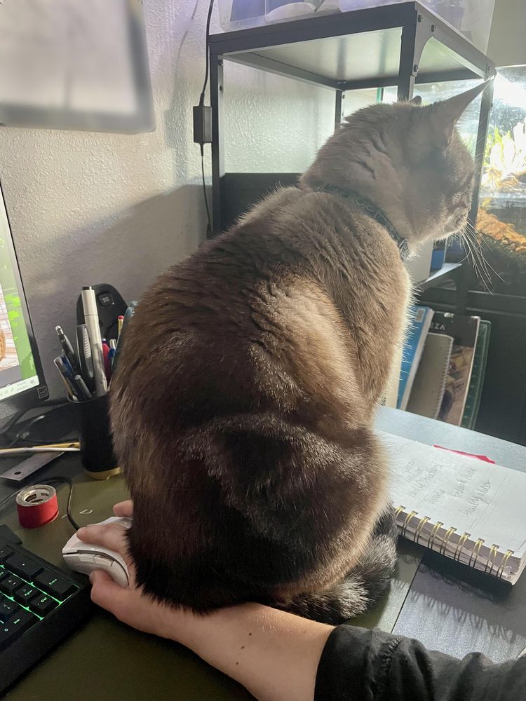 image-20230227141031-2