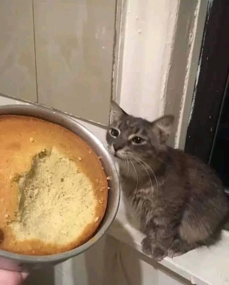 image-20230227141040-5