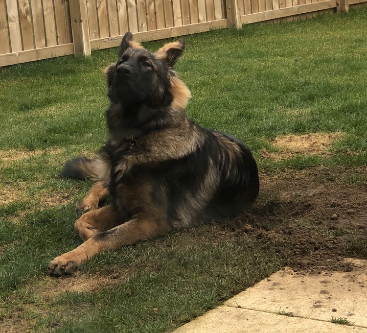 image-20230227141043-6