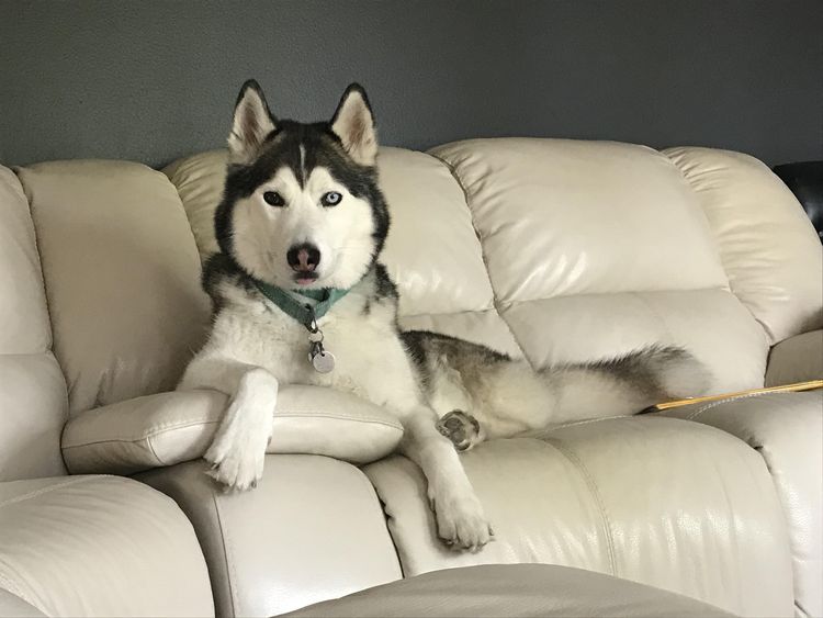 image-20230227141433-8