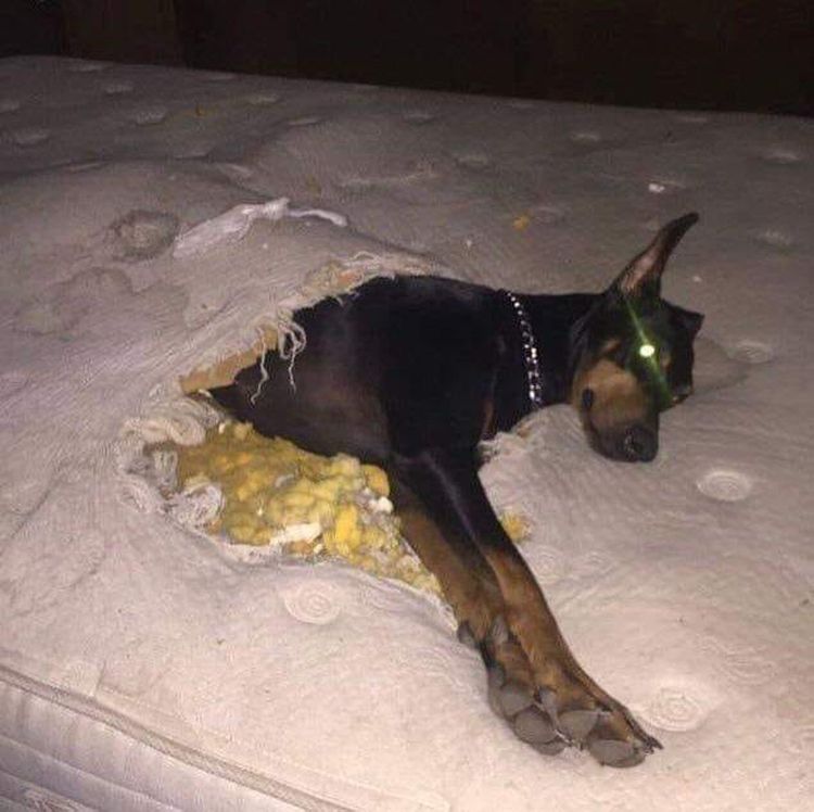 image-20230227141440-10