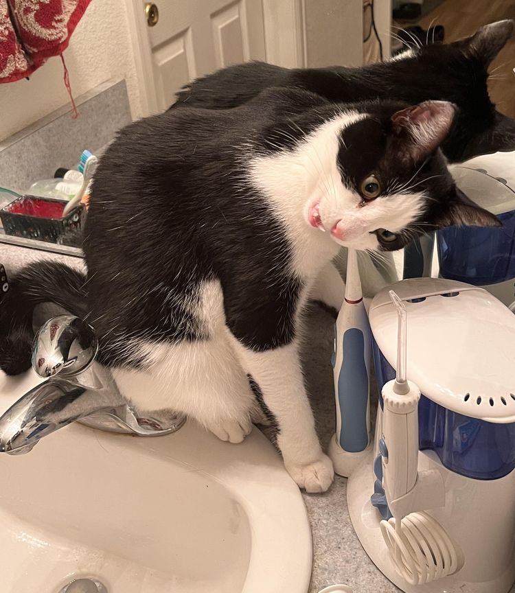 image-20230227141444-11