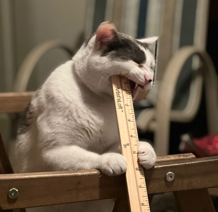 image-20230227141451-13