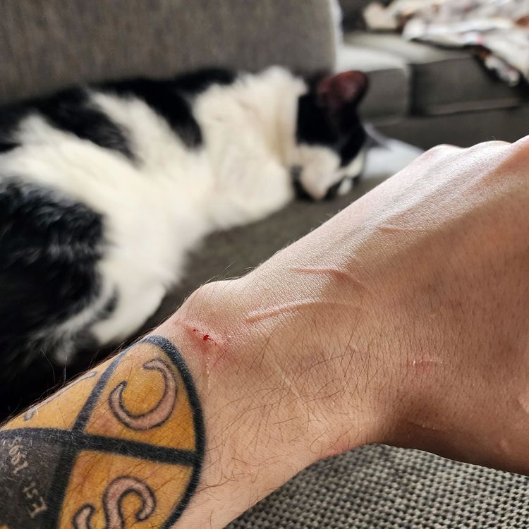 image-20230227141454-14