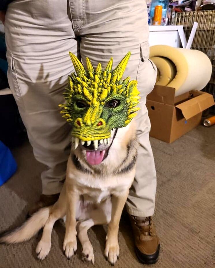 image-20230227160018-1