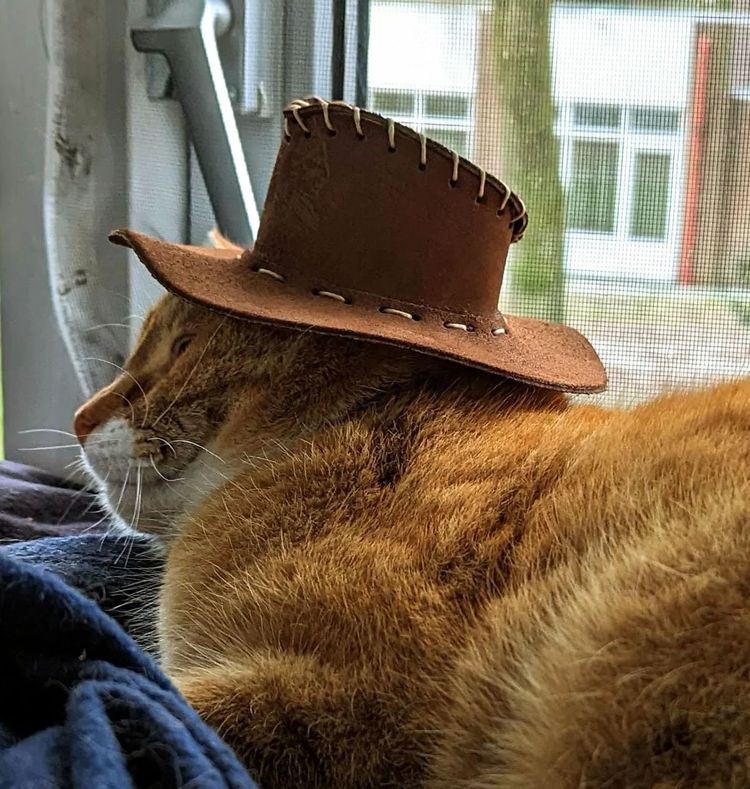 image-20230227160505-13