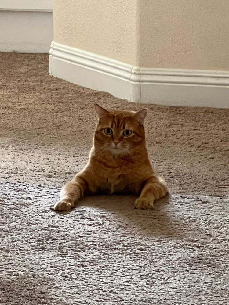 image-20230301153230-7