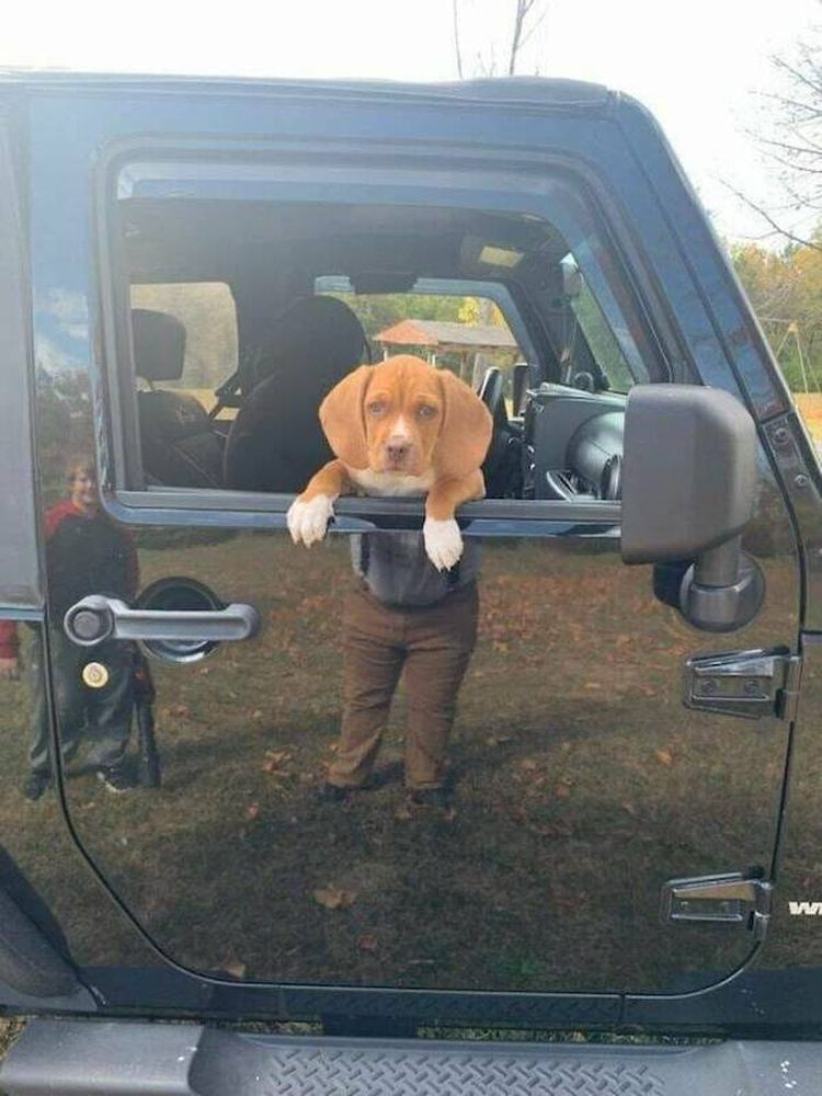 image-20230301153249-13