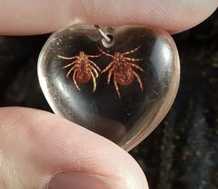 image-20230302154415-9