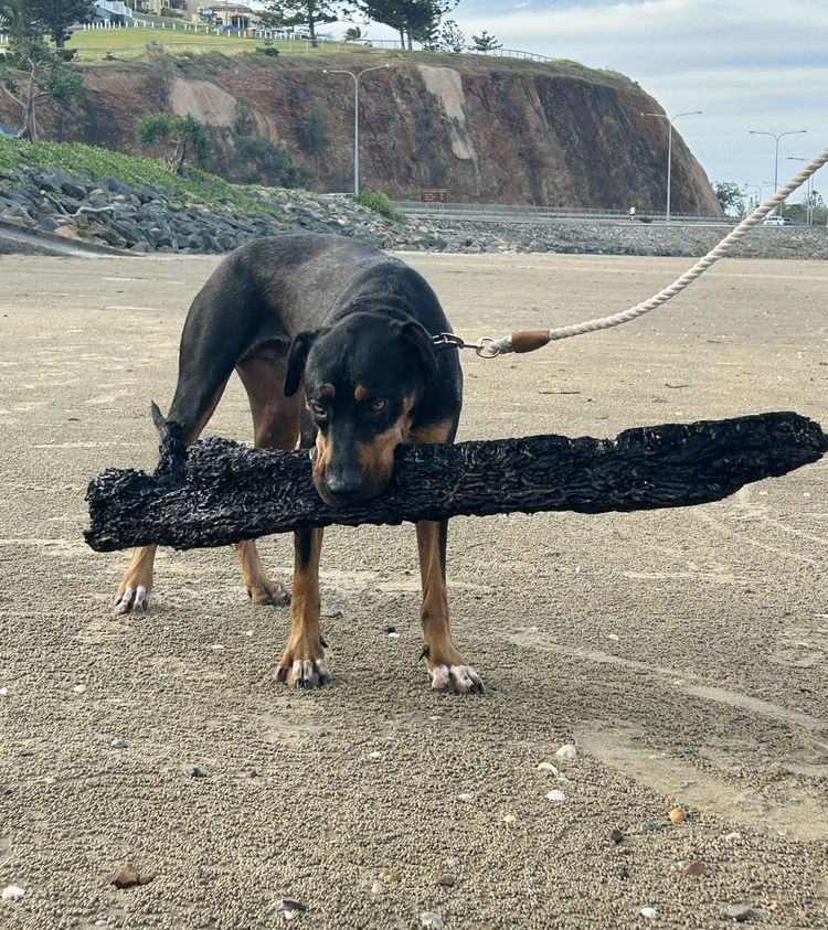 image-20230303100007-3