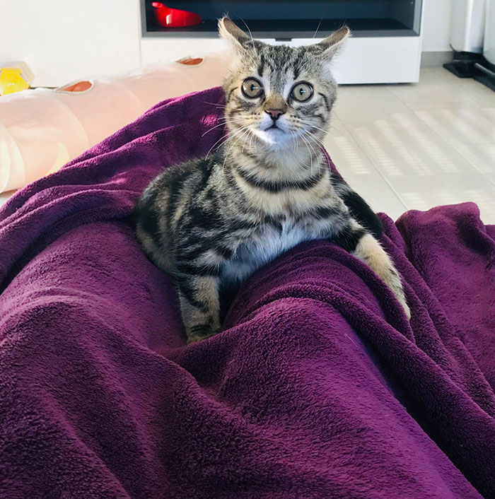 image-20230303100010-4