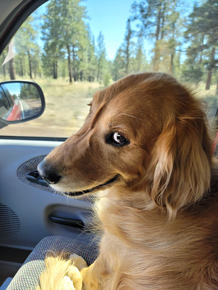 image-20230303100015-5