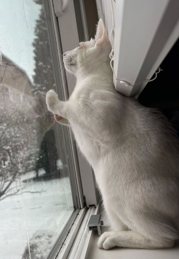 image-20230303100018-6