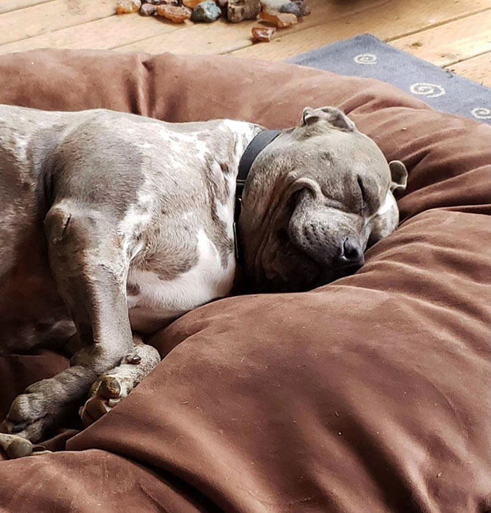 image-20230303100021-7