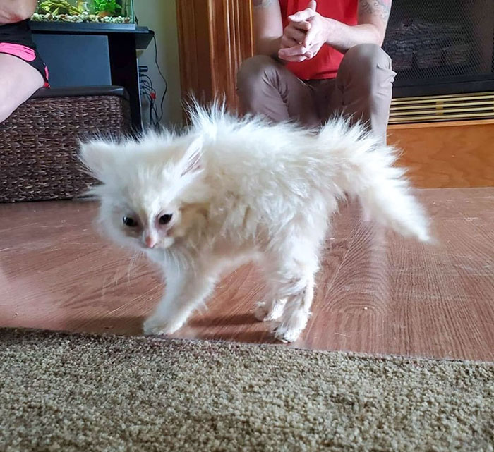 image-20230303100024-8