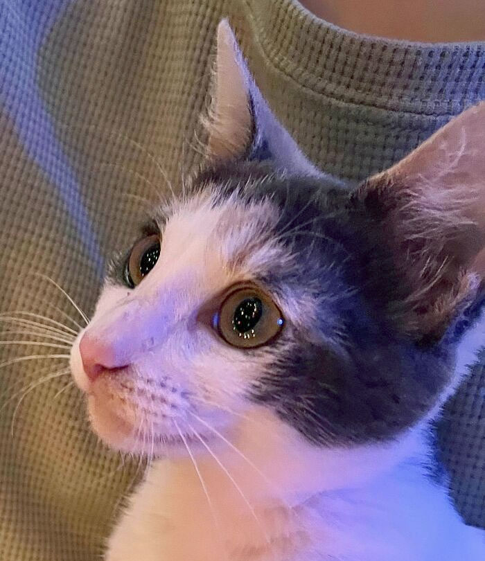 image-20230303100030-10