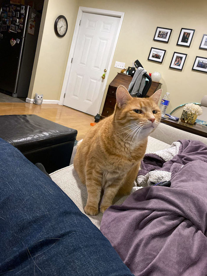 image-20230303100036-12