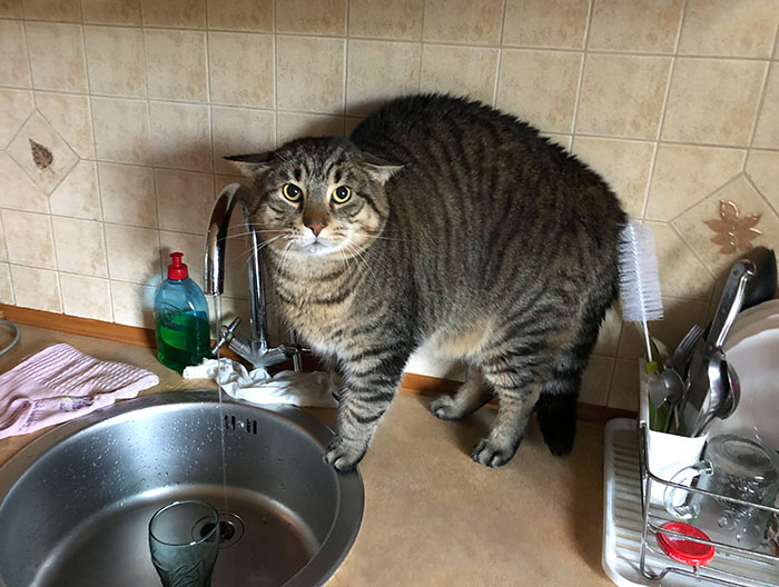 image-20230303100043-14