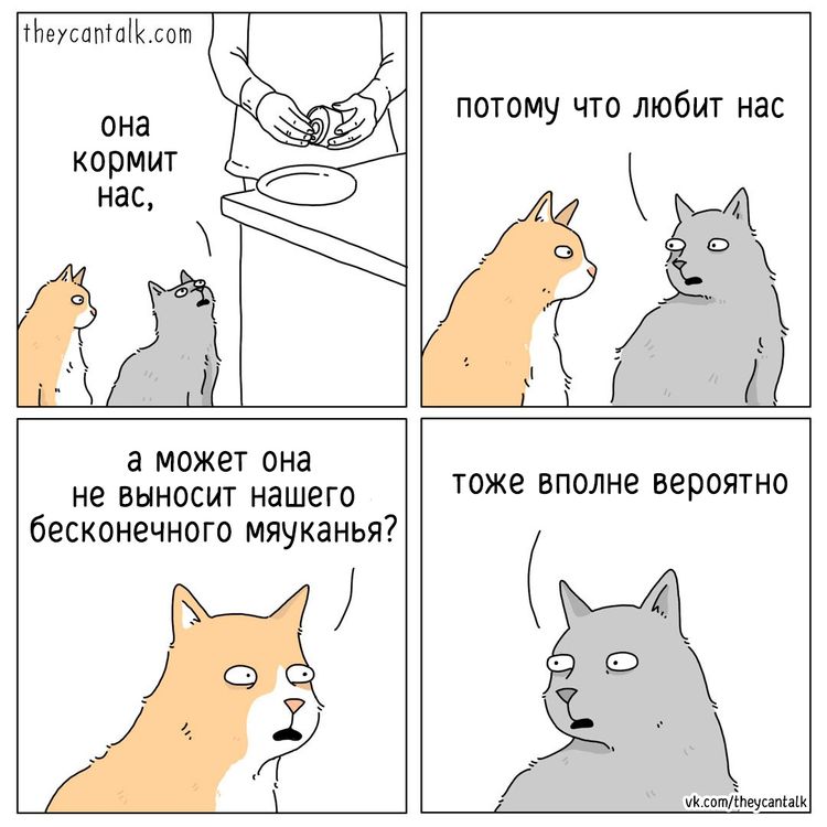 image-20230306105628-1