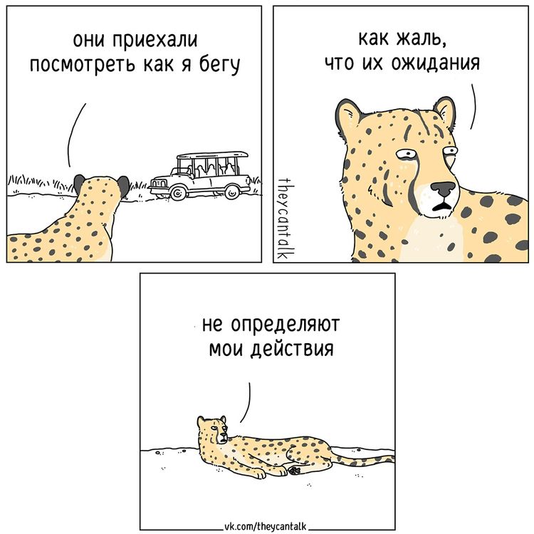 image-20230306105630-2