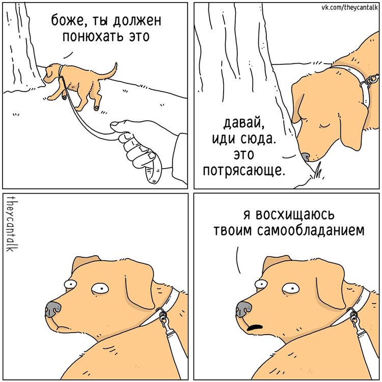 image-20230306105637-4