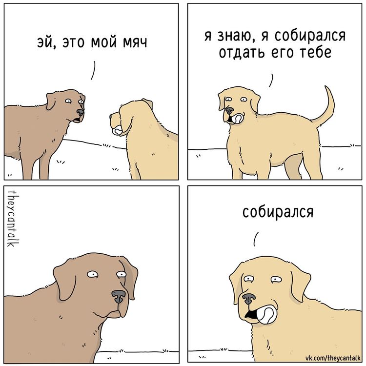 image-20230306105640-5