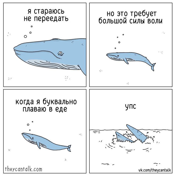 image-20230306105656-9