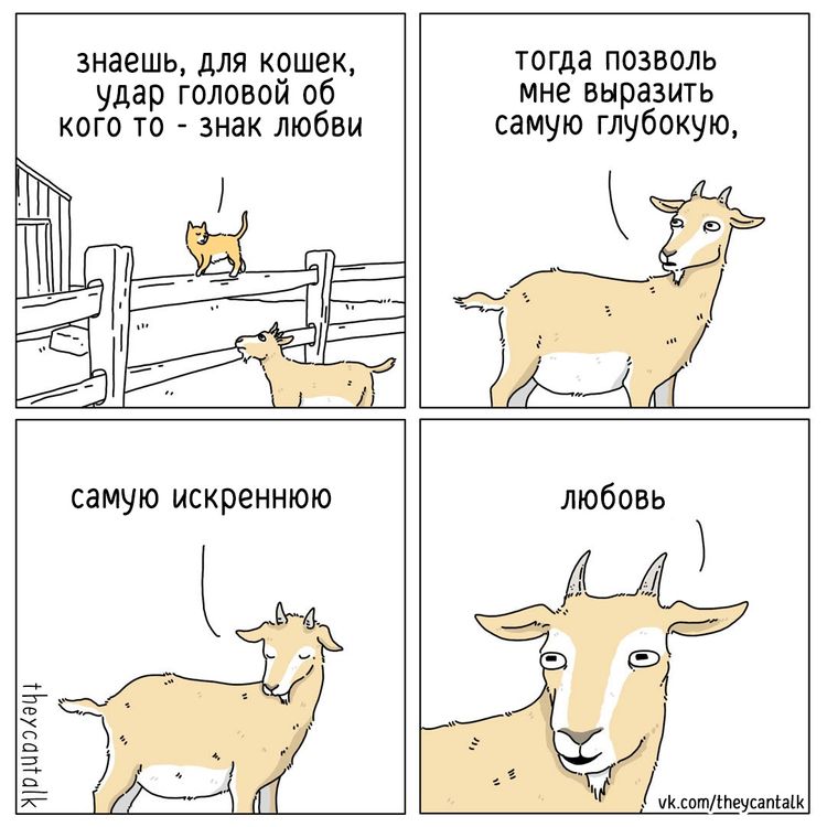 image-20230306105702-11