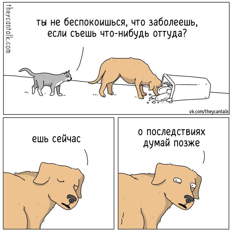 image-20230306105704-12